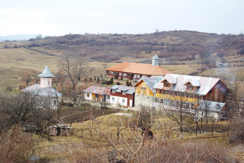 manastirea carnu