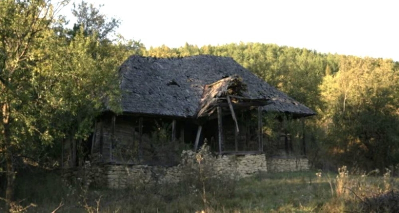 grabicina de sus